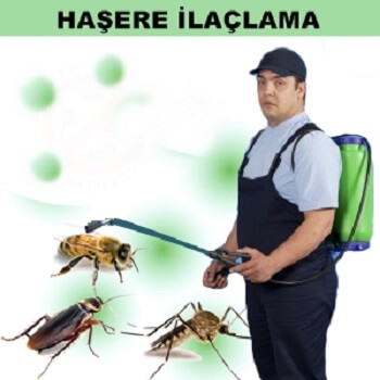 Kumlu Böcek İlaçlama